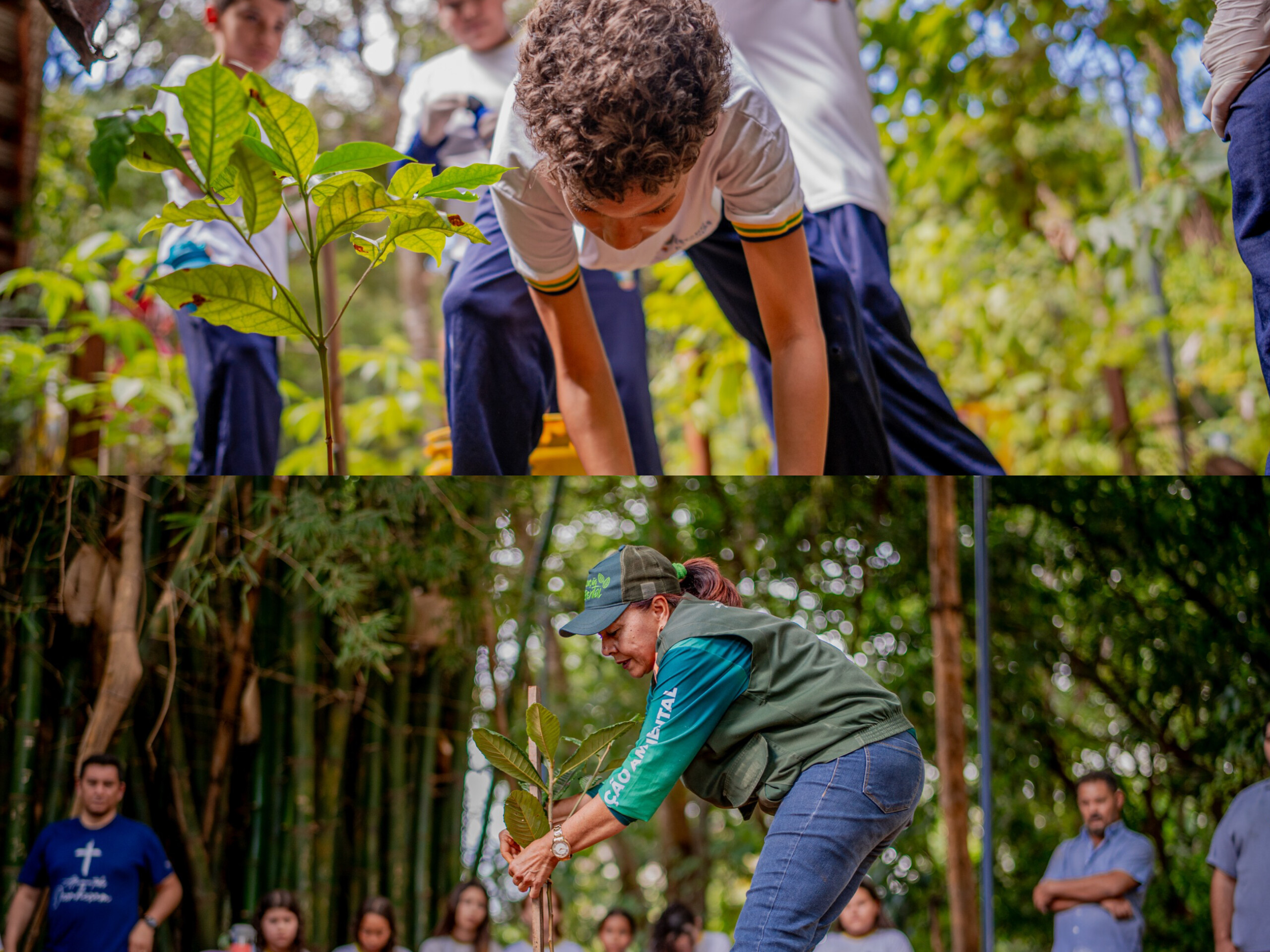 Ação ambiental no Jardim Botânico vai ensinar plantio de árvores e cultivar 300 mudas nesta quinta-feira (12)