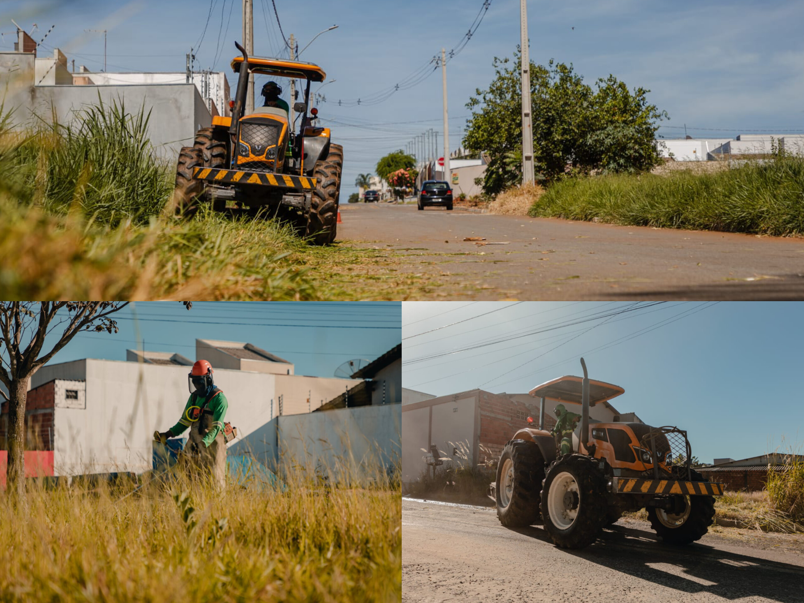 Prefeitura de Anápolis dá ultimato para donos de lotes com mato alto; multa pode chegar a 50% do IPTU