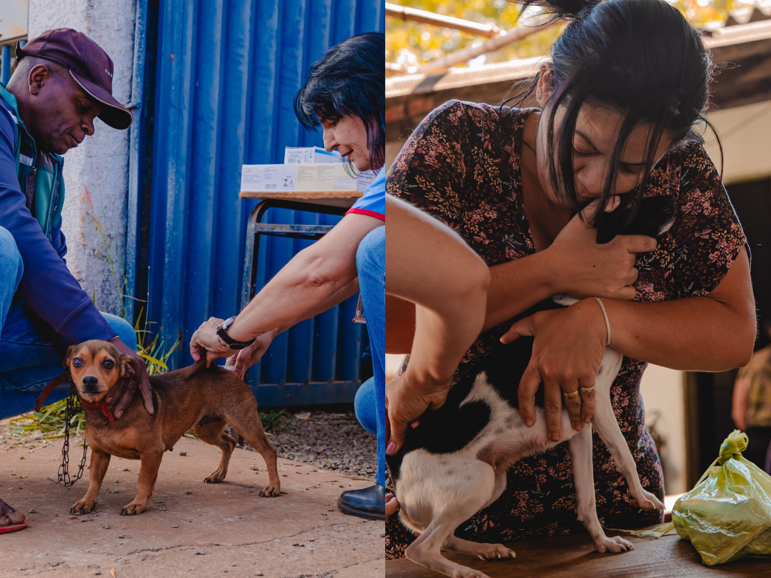 Vacinação antirrábica domiciliar será realizada no Novo Paraíso nesta terça-feira (17)