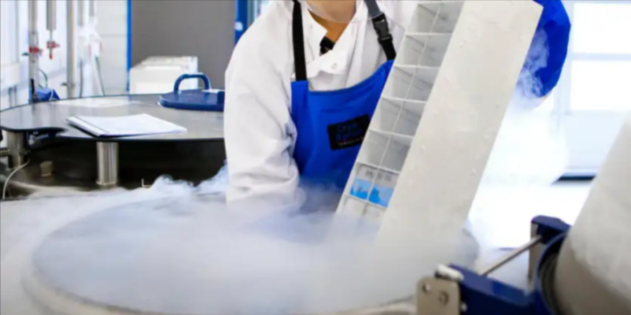 Cientistas conseguem reativar cérebro após congelamento extremo e surpreendem a ciência