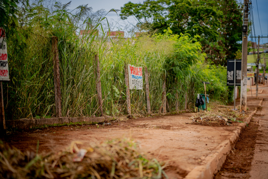Prazo para limpar lotes termina neste domingo e multas podem chegar a 50% do IPTU em Anápolis