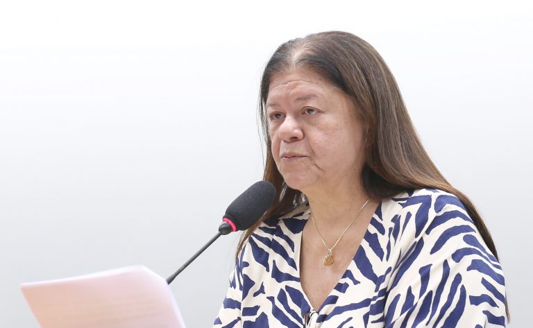 Comissão aprova projeto que prioriza mulher chefe de família em linhas de crédito da agricultura familiar
