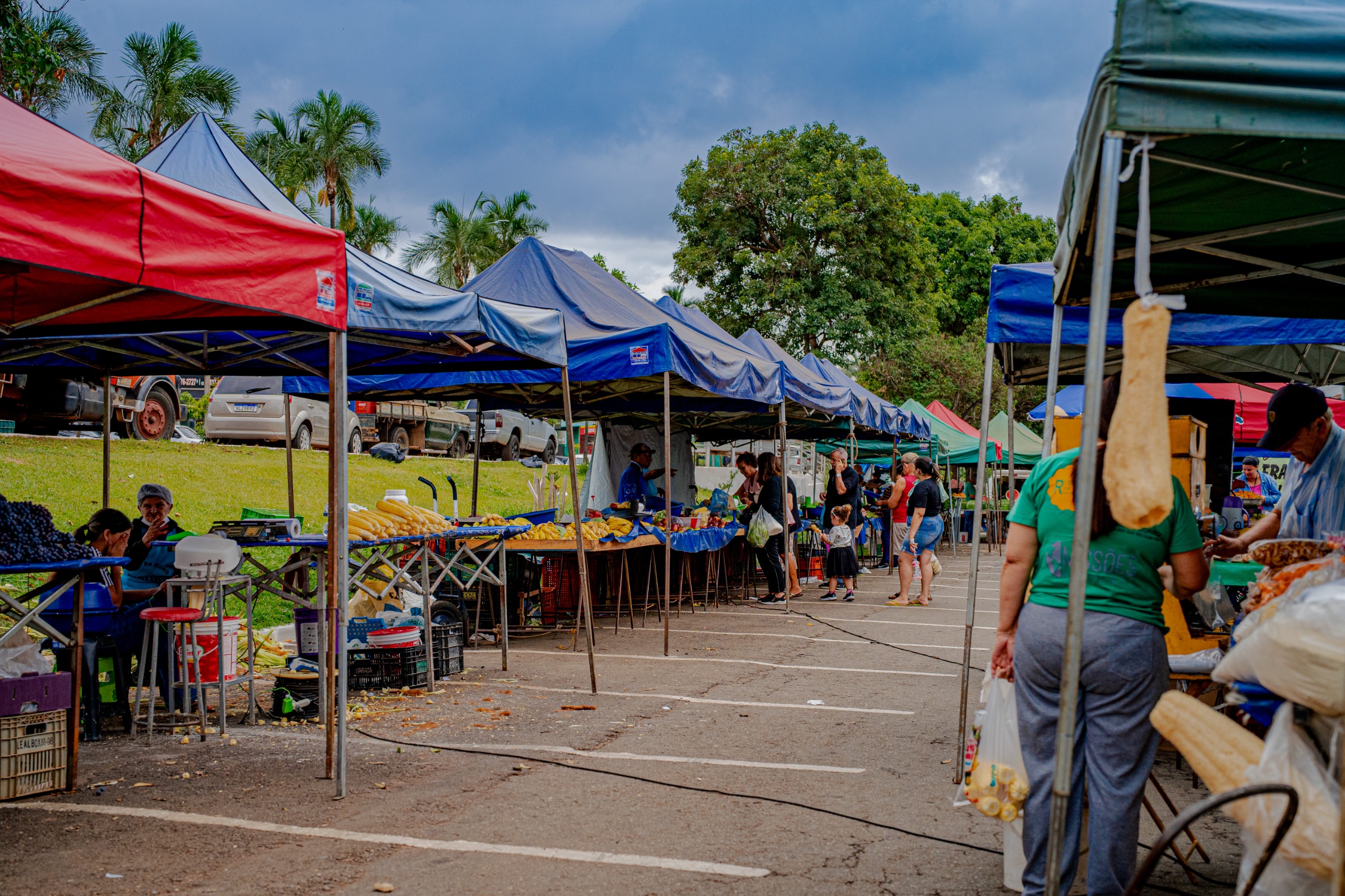TERÇA-FEIRA TEM FEIRAS LIVRES EM QUATRO REGIÕES DE ANÁPOLIS; VEJA LOCAIS E HORÁRIOS