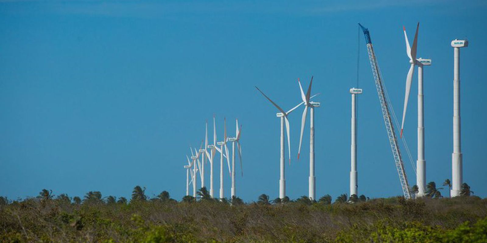 Projeto mapeia caminhos para economia verde no Nordeste