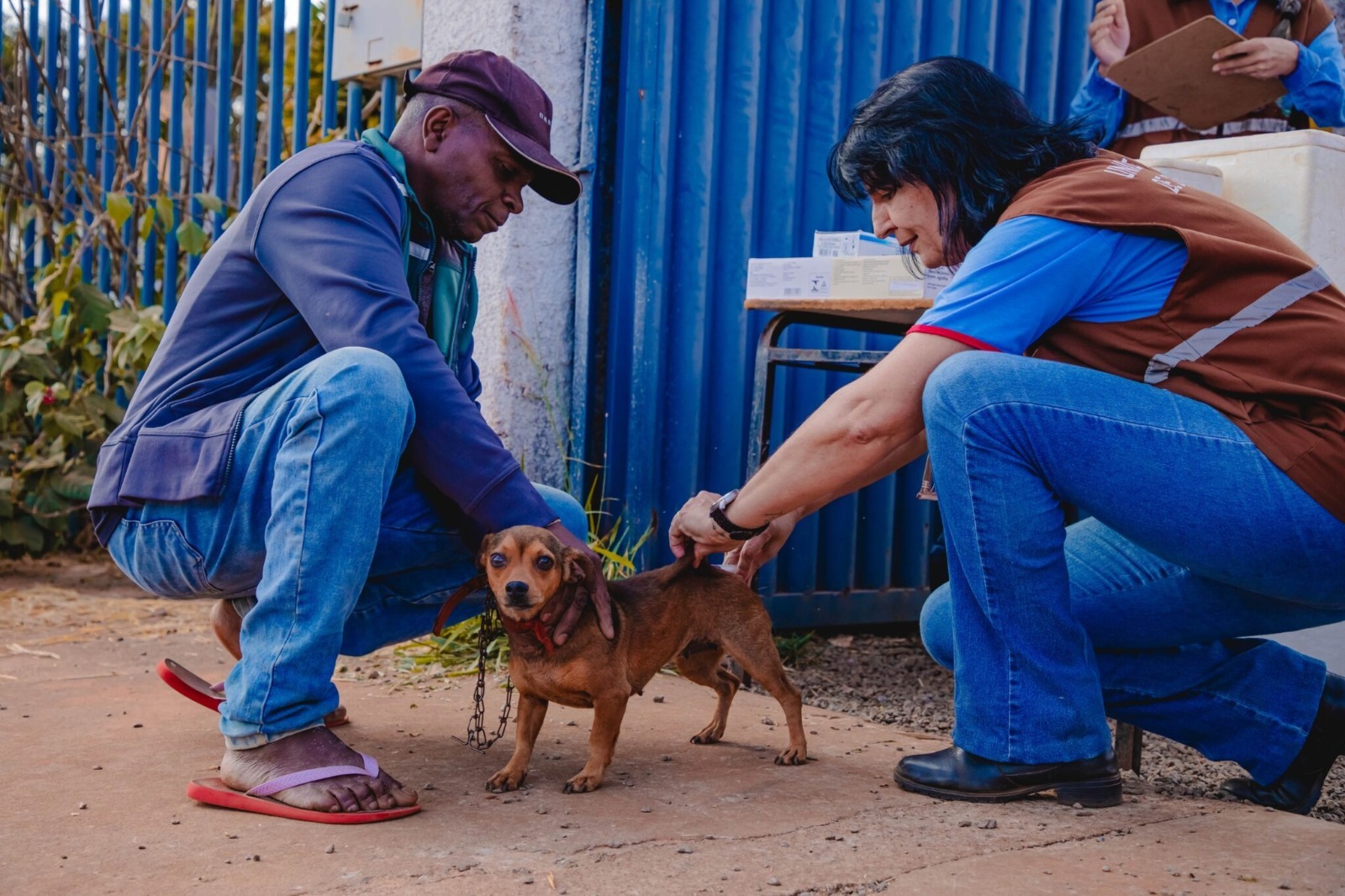 ANÁPOLIS TERÁ 78 PONTOS DE VACINAÇÃO ANTIRRÁBICA PARA CÃES E GATOS NESTE SÁBADO